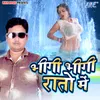 About Bhigi Bhigi Raato Me Song